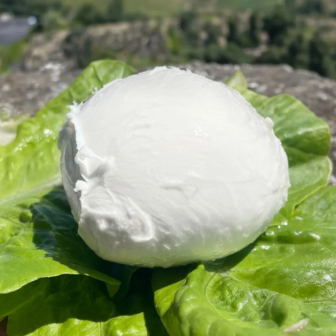 La Mozza "Fior" da caprese - I Caserecci Vegani